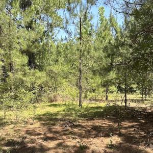 Photo #15 of Off Richland Drive, Pembroke, NC 3.3 acres