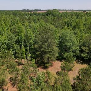 Photo #3 of Off Richland Drive, Pembroke, NC 3.3 acres