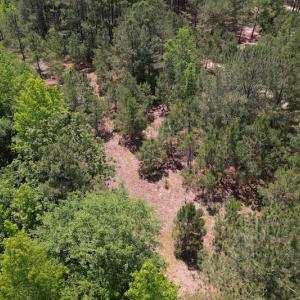 Photo #4 of Off Richland Drive, Pembroke, NC 3.3 acres