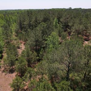 Photo #5 of Off Richland Drive, Pembroke, NC 3.3 acres