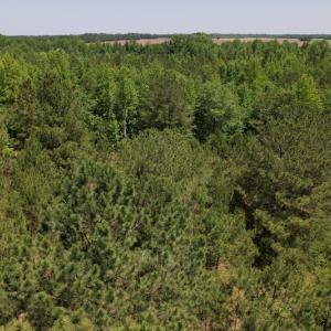 Photo #6 of Off Richland Drive, Pembroke, NC 3.3 acres