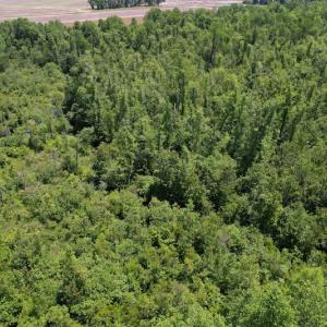 Photo #8 of Off Richland Drive, Pembroke, NC 3.3 acres