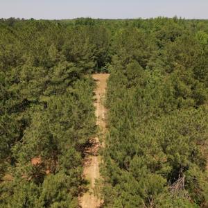 Photo #10 of Off Richland Drive, Pembroke, NC 3.3 acres