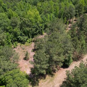 Photo #2 of Off Richland Drive, Pembroke, NC 3.5 acres