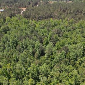 Photo #11 of Off Richland Drive, Pembroke, NC 3.5 acres