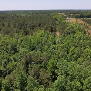 Photo #15 of Off Richland Drive, Pembroke, NC 3.5 acres