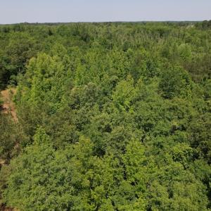 Photo #16 of Off Richland Drive, Pembroke, NC 3.5 acres
