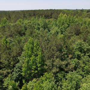 Photo #17 of Off Richland Drive, Pembroke, NC 3.5 acres