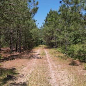 Photo #18 of Off Richland Drive, Pembroke, NC 3.5 acres