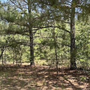 Photo #20 of Off Richland Drive, Pembroke, NC 3.5 acres