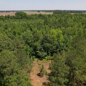Photo #3 of Off Richland Drive, Pembroke, NC 3.5 acres