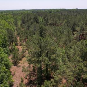 Photo #4 of Off Richland Drive, Pembroke, NC 3.5 acres