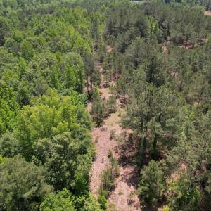 Photo #5 of Off Richland Drive, Pembroke, NC 3.5 acres