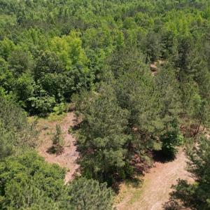 Photo #6 of Off Richland Drive, Pembroke, NC 3.5 acres