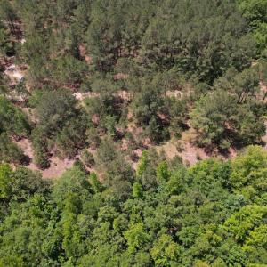 Photo #7 of Off Richland Drive, Pembroke, NC 3.5 acres