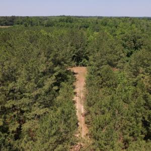 Photo #8 of Off Richland Drive, Pembroke, NC 3.5 acres