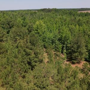 Photo #9 of Off Richland Drive, Pembroke, NC 3.5 acres