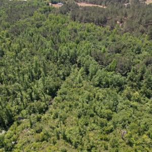 Photo #10 of Off Richland Drive, Pembroke, NC 3.5 acres