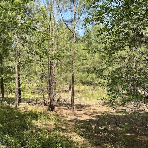 Photo #21 of Off Richland Drive, Pembroke, NC 3.5 acres