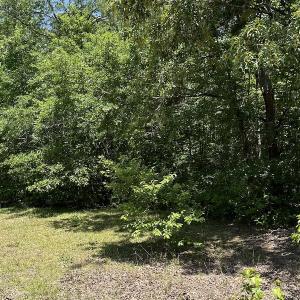 Photo #22 of Off Richland Drive, Pembroke, NC 3.5 acres