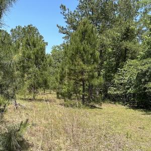Photo #23 of Off Richland Drive, Pembroke, NC 3.5 acres