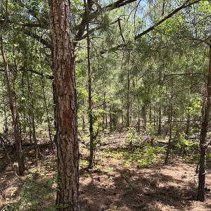 Photo #24 of Off Richland Drive, Pembroke, NC 3.5 acres