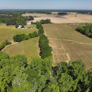 Photo #10 of SOLD property in Off Arrowhead Road, Dunn, NC 19.0 acres
