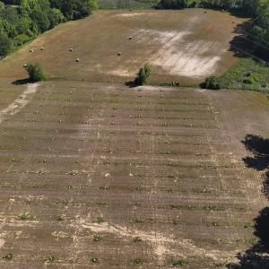 Photo #11 of SOLD property in Off Arrowhead Road, Dunn, NC 19.0 acres