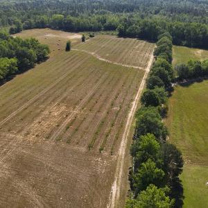 Photo #13 of SOLD property in Off Arrowhead Road, Dunn, NC 19.0 acres