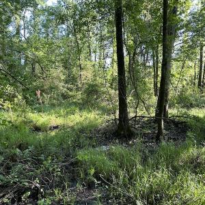 Photo #21 of SOLD property in Off Arrowhead Road, Dunn, NC 19.0 acres