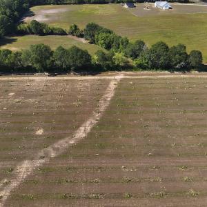 Photo #6 of SOLD property in Off Arrowhead Road, Dunn, NC 19.0 acres