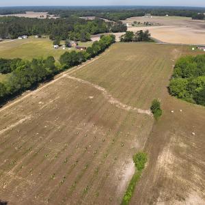 Photo #7 of SOLD property in Off Arrowhead Road, Dunn, NC 19.0 acres