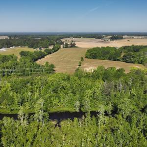 Photo #8 of SOLD property in Off Arrowhead Road, Dunn, NC 19.0 acres