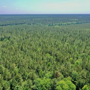 Photo #2 of 315 West Sycamore Street, Aulander, NC 40.0 acres