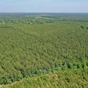 Photo #12 of 315 West Sycamore Street, Aulander, NC 40.0 acres