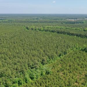 Photo #16 of 315 West Sycamore Street, Aulander, NC 40.0 acres