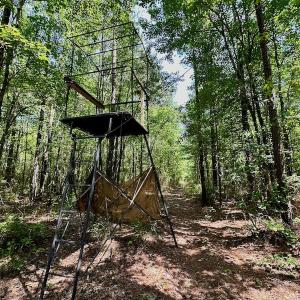Photo #17 of 315 West Sycamore Street, Aulander, NC 40.0 acres