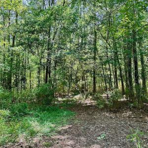 Photo #3 of 315 West Sycamore Street, Aulander, NC 40.0 acres
