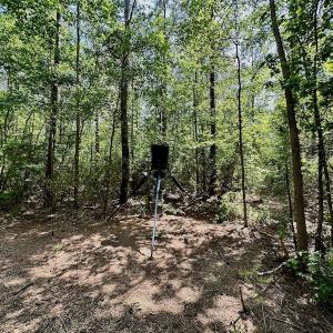 Photo #19 of 315 West Sycamore Street, Aulander, NC 40.0 acres