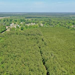 Photo #20 of 315 West Sycamore Street, Aulander, NC 40.0 acres