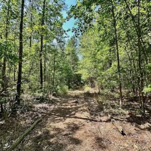 Photo #21 of 315 West Sycamore Street, Aulander, NC 40.0 acres