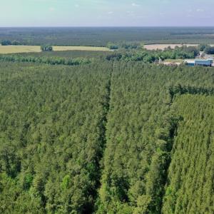 Photo #24 of 315 West Sycamore Street, Aulander, NC 40.0 acres