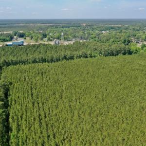 Photo #28 of 315 West Sycamore Street, Aulander, NC 40.0 acres