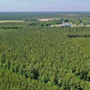Photo #30 of 315 West Sycamore Street, Aulander, NC 40.0 acres