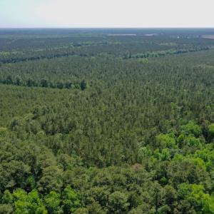 Photo #32 of 315 West Sycamore Street, Aulander, NC 40.0 acres