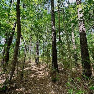 Photo #35 of 315 West Sycamore Street, Aulander, NC 40.0 acres