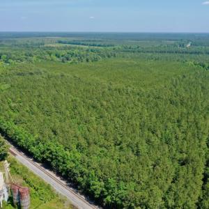 Photo #8 of 315 West Sycamore Street, Aulander, NC 40.0 acres