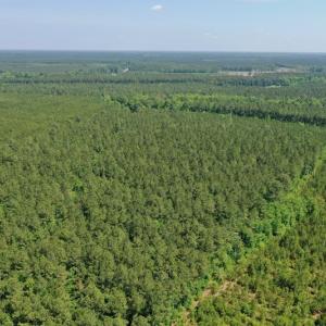 Photo #9 of 315 West Sycamore Street, Aulander, NC 40.0 acres