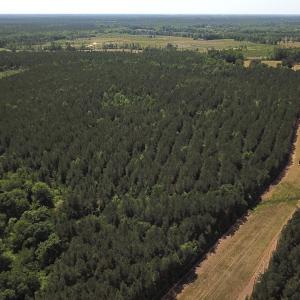 Photo #3 of Off Moores Ferry Rd , Emporia, VA 158.0 acres