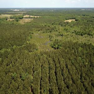 Photo #4 of Off Moores Ferry Rd , Emporia, VA 158.0 acres